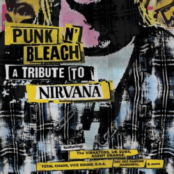 Виниловая пластинка Various Artists - Punk N Bleach - A Punk Tribut