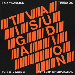 Виниловая пластинка Tiga Vs Audion - This Is A Dream
