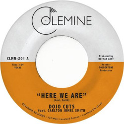 Виниловая пластинка Dojo Cuts - Here We Are
