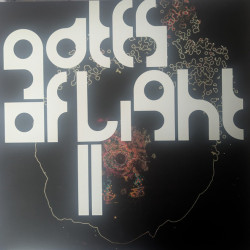 Виниловая пластинка Gates Of Light - Gates Of Light II