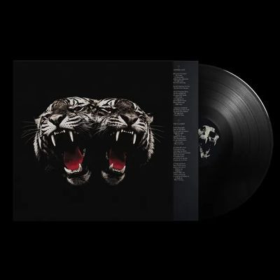 Виниловая пластинка Royal Blood - Dead Company (LP)