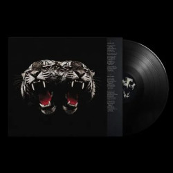 Виниловая пластинка Royal Blood - Dead Company (LP)