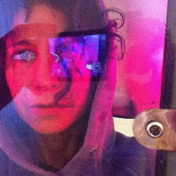 Виниловая пластинка Carla Bozulich - Quieter Lp (180 Gram)