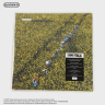 Виниловая пластинка Pavey Ark - More Time, More Speed (LP) RSD 2026 (Green)