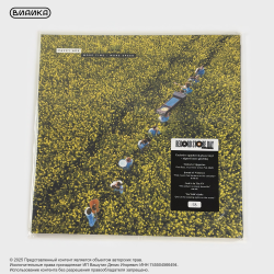 Виниловая пластинка Pavey Ark - More Time, More Speed (LP) RSD 2026 (Coloured)
