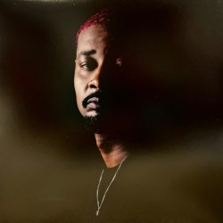 Виниловая пластинка Danny Brown - Quaranta