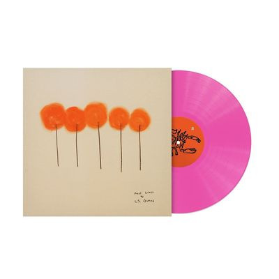 Виниловая пластинка L.S. Dunes - Past Lives (1LP/BUBBLEGUM PINK)