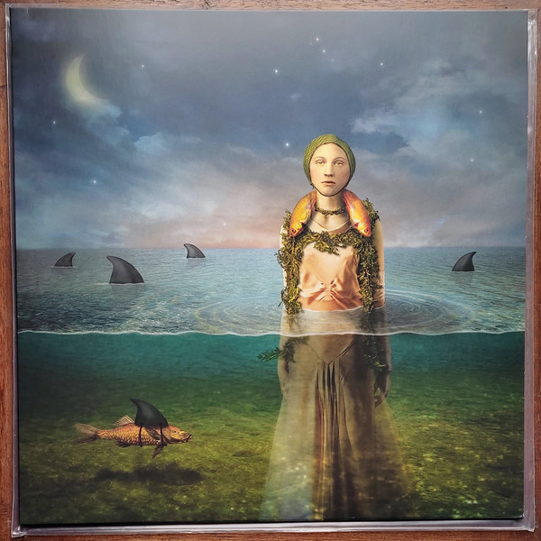 Виниловая пластинка The Bled - Found In The Flood