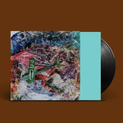 Виниловая пластинка Animal Collective - Bridge To Quiet