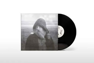 mary in the junkyard - Role Model Hermit (LP)