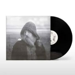 mary in the junkyard - Role Model Hermit (LP)
