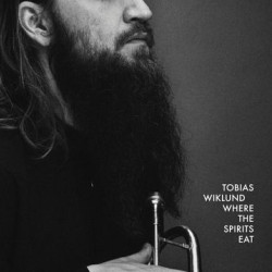 Виниловая пластинка Tobias Wiklund - Where The Spirits Eat
