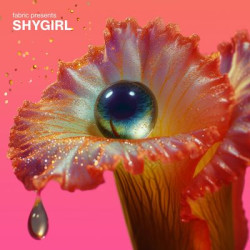 Виниловая пластинка Various Artists feat. Shygirl - fabric presents Shygirl