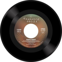 Виниловая пластинка The Paradise Projex - Magic Night / Someone Like You