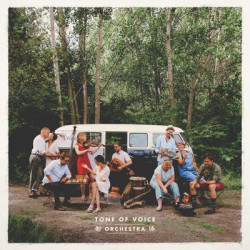 Виниловая пластинка Tone Of Voice Orchestra - Tone Of Voice Orchestra [180G Vinyl]