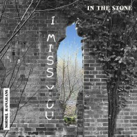 Виниловая пластинка Normil Hawaiians - In The Stone/Where Is Living?