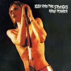 Виниловая пластинка Iggy &amp; The Stooges - Raw Power (2LP/Gat + Booklet)
