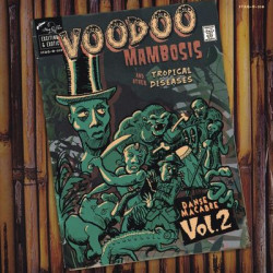 Виниловая пластинка Various Artists - Voodoo Mambosis &amp; Other Tropical Diseases Vol 2