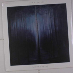 Виниловая пластинка Ilya Beshevli - Night Forest