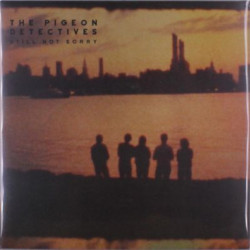 Виниловая пластинка The Pigeon Detectives - Still Not Sorry