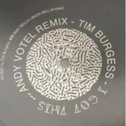 Виниловая пластинка Tim Burgess - I Got This