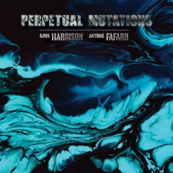 Виниловая пластинка Gavin Harrison &amp; Antoine Fafard - Perpetual Mutations