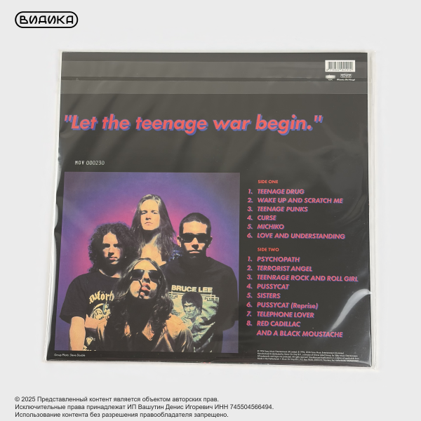 Виниловая пластинка Sultans Of Ping F.C. - Teenage Drug (LP Translucent Blue)
