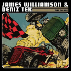 Виниловая пластинка James Williamson &amp; Deniz Tex - Two To One
