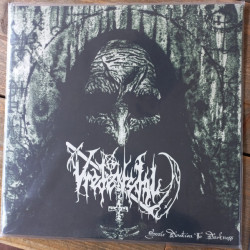 Виниловая пластинка Vredensdal - Sonic Devotion (Limited Black Vinyl)