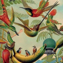 Виниловая пластинка Various Artists - Radar Keroxen Vol.4