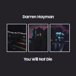 Виниловая пластинка Darren Hayman Ltd - You Will Not Die