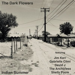 Виниловая пластинка The Dark Flowers - Indian Summer
