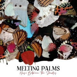 Виниловая пластинка Melting Palms - Noise Between The Shades