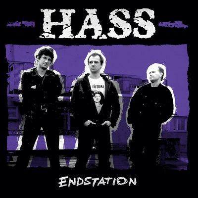 Виниловая пластинка Hass - Endstation (Black & White Swirl Vinyl)