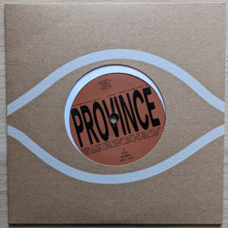 Виниловая пластинка Bartees Strange, Ohmme &amp; Eric Slick - Anjimile-Province / Ever New