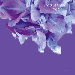 Виниловая пластинка Various Artists - Pop Ambient 2025