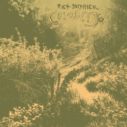 Виниловая пластинка Rick Deitrick - Coyote Canyon