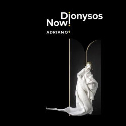 Виниловая пластинка Dionysos Now! &amp; Tore Tom Denys - Adriano 1