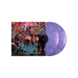 Виниловая пластинка Vulvodynia - Praenuntius Infiniti