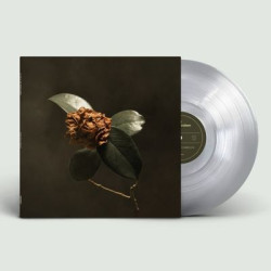 Виниловая пластинка St. Paul &amp; The Broken Bones - Young Sick Camellia