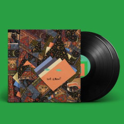 Виниловая пластинка Animal Collective - Isn't It Now?