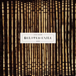 Виниловая пластинка Steve Moore - Beloved Exile