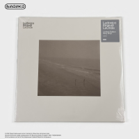 Виниловая пластинка Ludovico Einaudi - Le Onde (2LP) Grey
