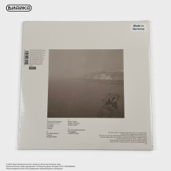 Виниловая пластинка Ludovico Einaudi - Le Onde (2LP) Grey