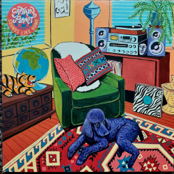 Виниловая пластинка Captain Planet - Sounds Like Home