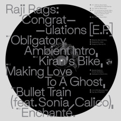 Виниловая пластинка Raji Rags - Congratulations