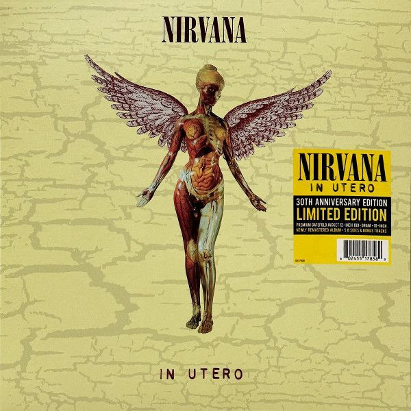 Виниловая пластинка Nirvana - In Utero 30th anniversary (LP)