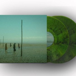 Виниловая пластинка Devil'S Witches - In All Her Forms (Green/Black Marbled Vinyl)