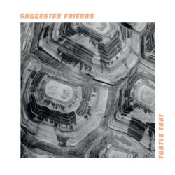 Виниловая пластинка Suggested Friends - Turtle Taxi (тест-прессинг, Happy Happy Birthday To Me Records)