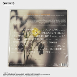 Виниловая пластинка Natalia Lafourcade - Un Canto por Mexico, Vol. 2 (2LP) Transparent Smoke Marble
